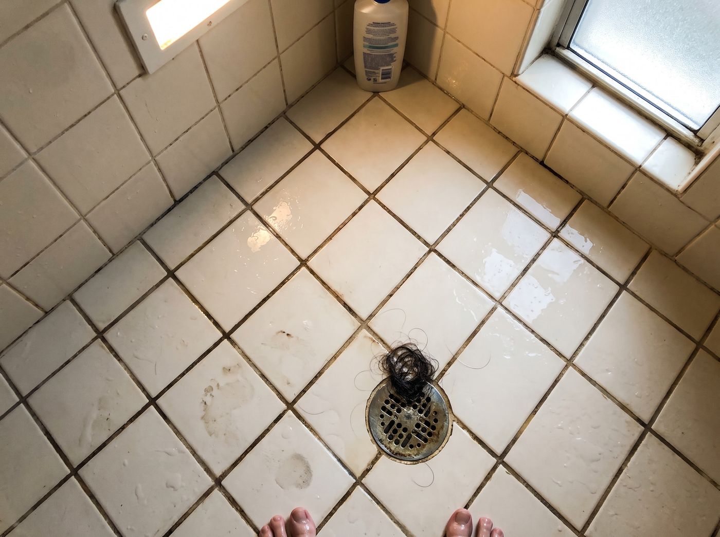 Wet hair collected on a shower drain after washing