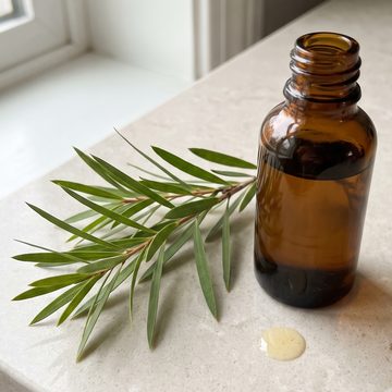 Tea tree sprig next to a small bottle of tea tree oil